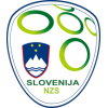 Slovenië elftal kleding
